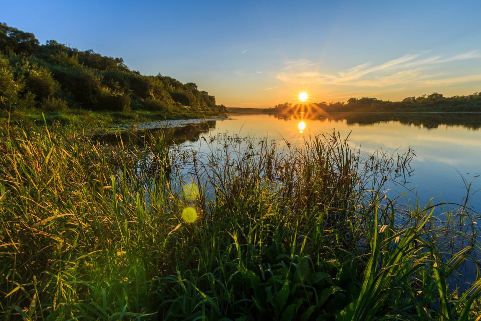 Cache de Bayou