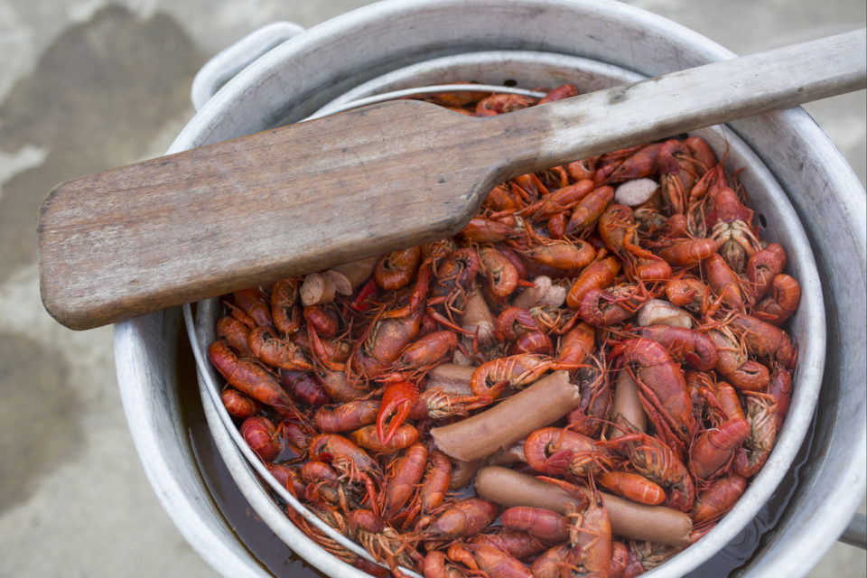 Crawfish boiling in a stock pot