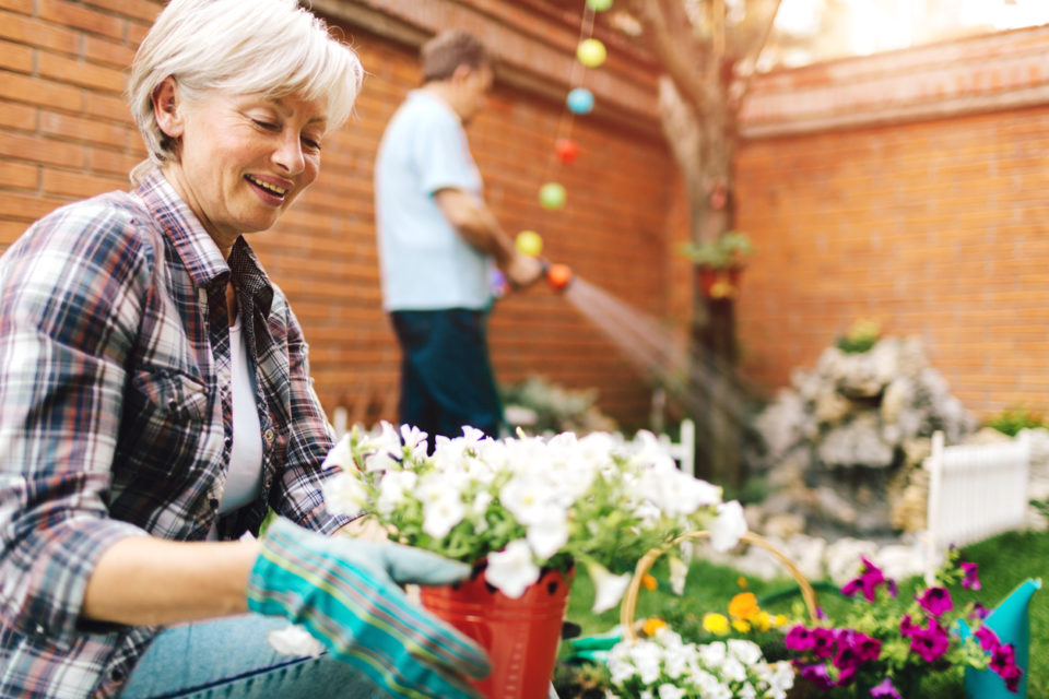 Cheerful Couple planting a flower in a back or front yard together. Selective focus to mature woman planting flowers in front. Her husband watering flowers in background with garden hose.