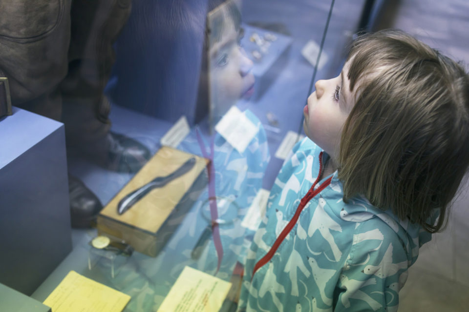 Little boy looking through museum display window