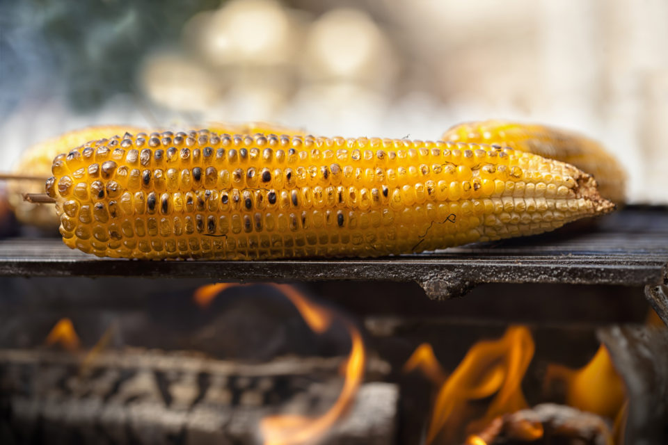 Corn on the BBQ