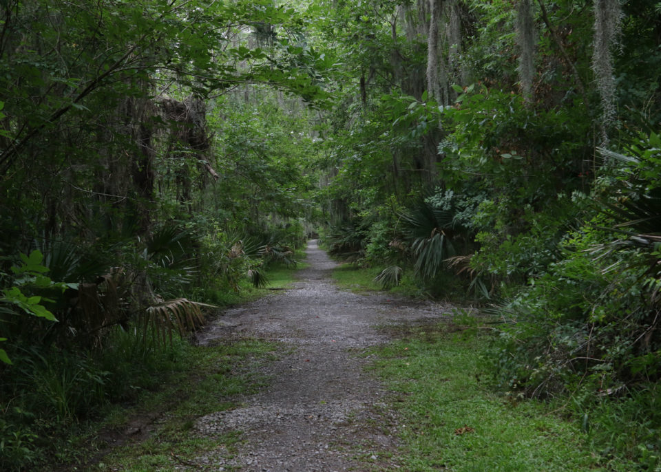 Mandalay National Wildlife Refuge, Louisiana