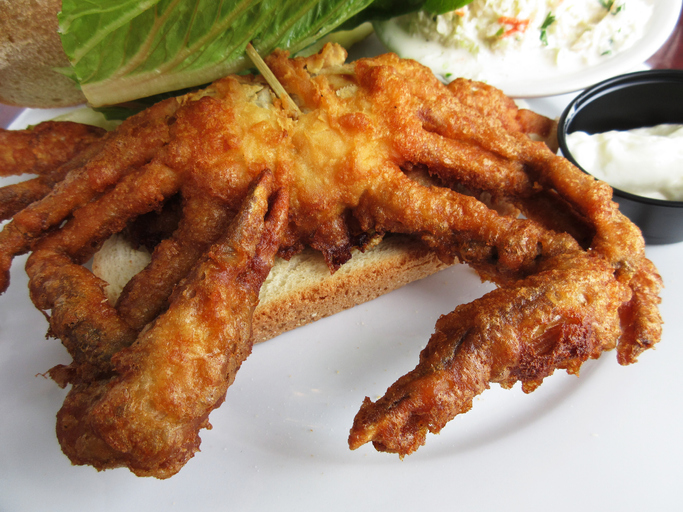 Photo of fried soft-shell crab sandwich served at a restaurant for lunch.  This sandwich comes with cole slaw.  The sandwich is made with bread, a whole soft-shell crab, lettuce, tomato and mayonnaise.  This is a common summer seafood in Maryland.