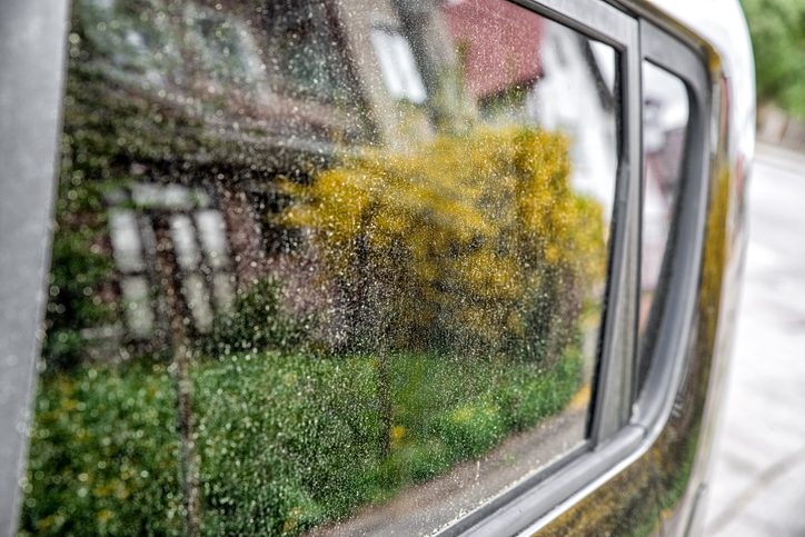 Allergy season. Yellow pollen grains on car. Reflection of spring blooming flower on window